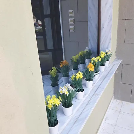 Zanet Bed & Breakfast Limenas (Thasos)