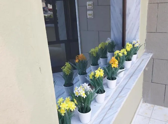 Zanet Отель типа 